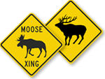 Elk Crossing Signs
