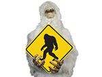 Sasquatch Signs