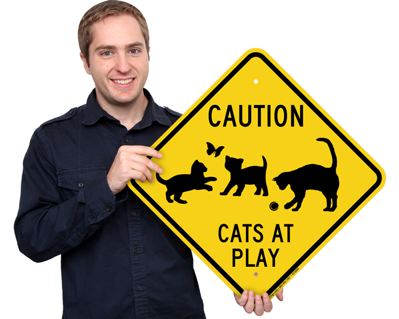 Cat Crossing Signs