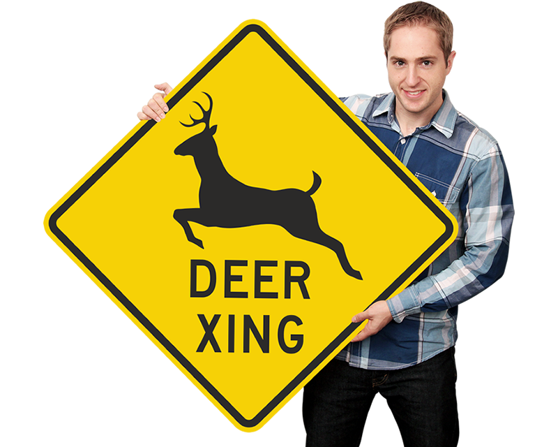 Deer Crossing Sign Meaning