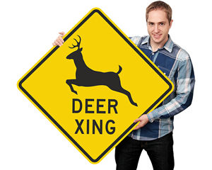 Deer Recreation Symbol Highway Route Sign 