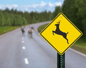 Deer Crossing Sign