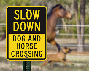 Dog and horse crossing sign