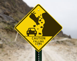 Falling cow sign