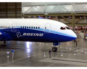 Heavy Duty Chain & Stanchions