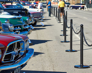 Heavy Duty Glow-in-dark Chain & Stanchions