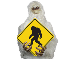 Sasquatch Signs Sasquatch Signs