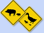 Animal Crossing Signs