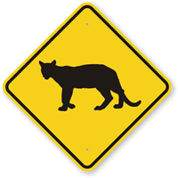 Cougar Crossing Sign