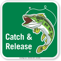 Catch & Release