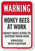 Honey Bees At Work