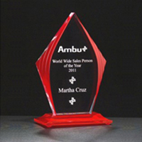 Fire n Ice Flame Award