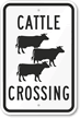 Cattle Crossing Sign (with Graphic)