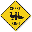 Geese Xing with Graphic Crossing Sign