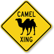 Camel Xing Road Sign
