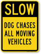 Dog Chases All Moving Vehicles Slow Down Sign