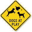 Dogs At Plays Caution Sign