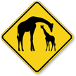 Giraffe with Calf Crossing Sign