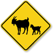 Goat with Billy Crossing Sign