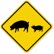 Pigs Crossing Sign