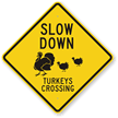 Slow Down Turkeys Crossing Sign