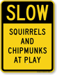 Squirrels And Chipmunks At Play Slow Sign