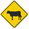 Cattle Symbol Sign