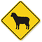Sheep Crossing Sign
